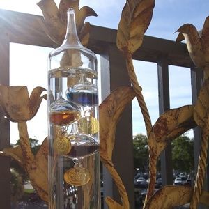 ☀RESERVED FOR CUPOFJOE☀Happy Florida Holidays☀